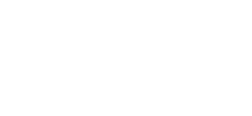 NOVA School of Business & Economics